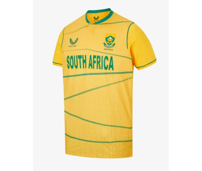 South Africa ODI  Men Cricket Jersey Yellow