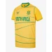 South Africa ODI  Men Cricket Jersey Yellow