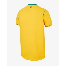 South Africa ODI  Men Cricket Jersey Yellow